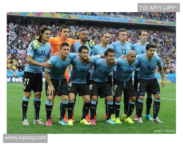 芬兰足球星的崛起之路与他如何在欧洲赛场上展现独特实力